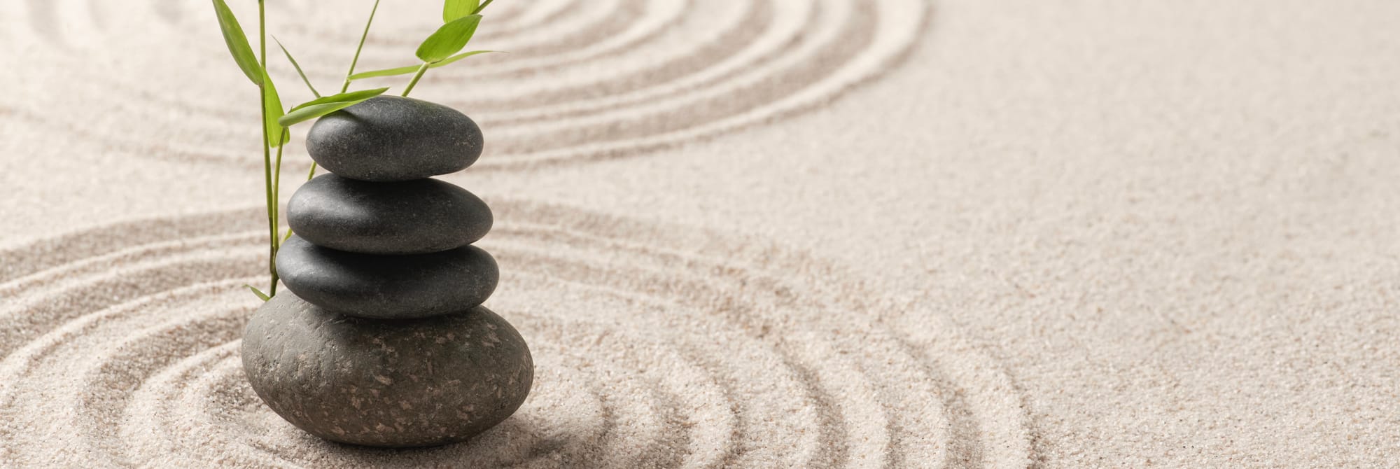 Practitioner only page