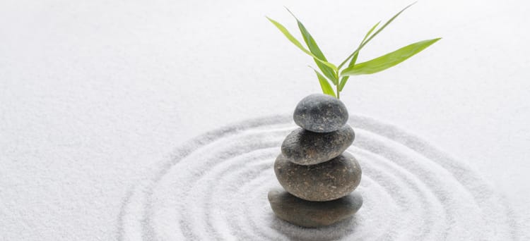 Discover our Wellness Retreat